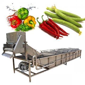 Lavadora industrial de frutas y verduras