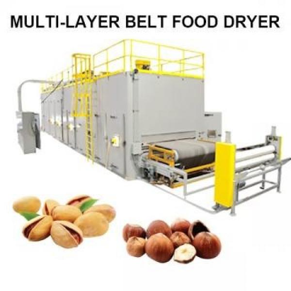 Secador industrial de frutas #2 image
